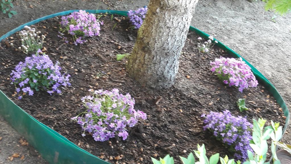Szalóky Apartmanház Gyenesdiás Esterno foto